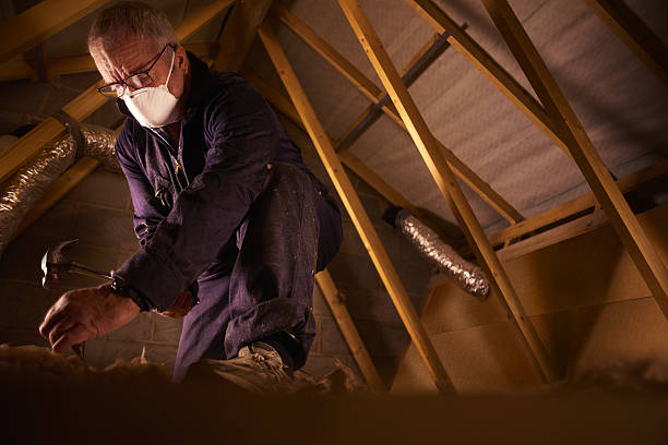 Best Insulation Maintenance and Repair in Medina, OH